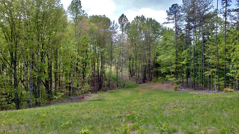 10 Misty Mountain Road Germanton, NC 27019 - Photo 3 of 17 Gallery Image 3
