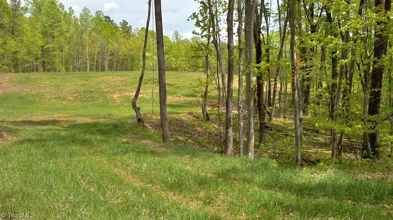 10 Misty Mountain Road Germanton, NC 27019 - Photo 5 of 17 Gallery Image 5