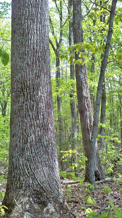 10 Misty Mountain Road Germanton, NC 27019 - Photo 7 of 17 Gallery Image 7