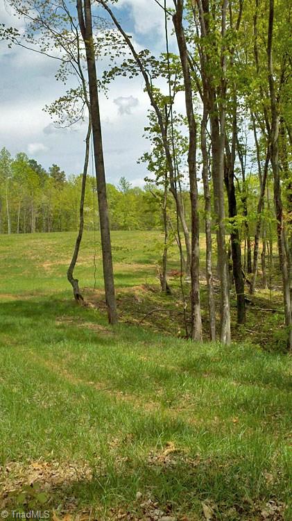 10 Misty Mountain Road Germanton, NC 27019 - Photo 10 of 17 Gallery Image 10