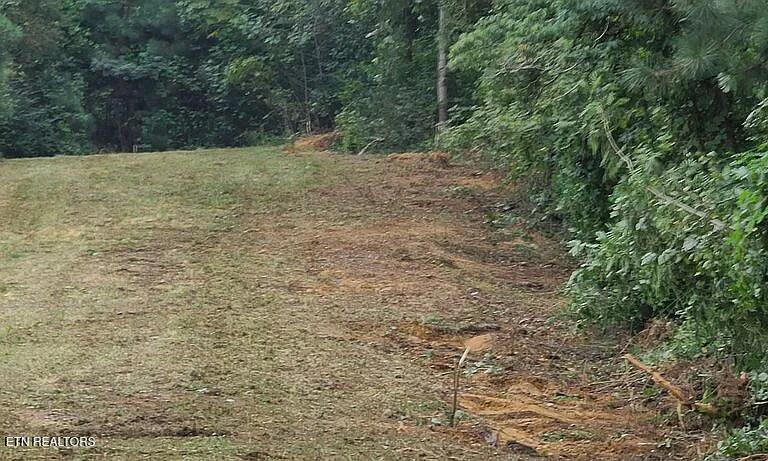 0 Southeast Bohannons Road Cleveland, TN 37323 - Photo 4 of 20 20250701141345635182000000-o