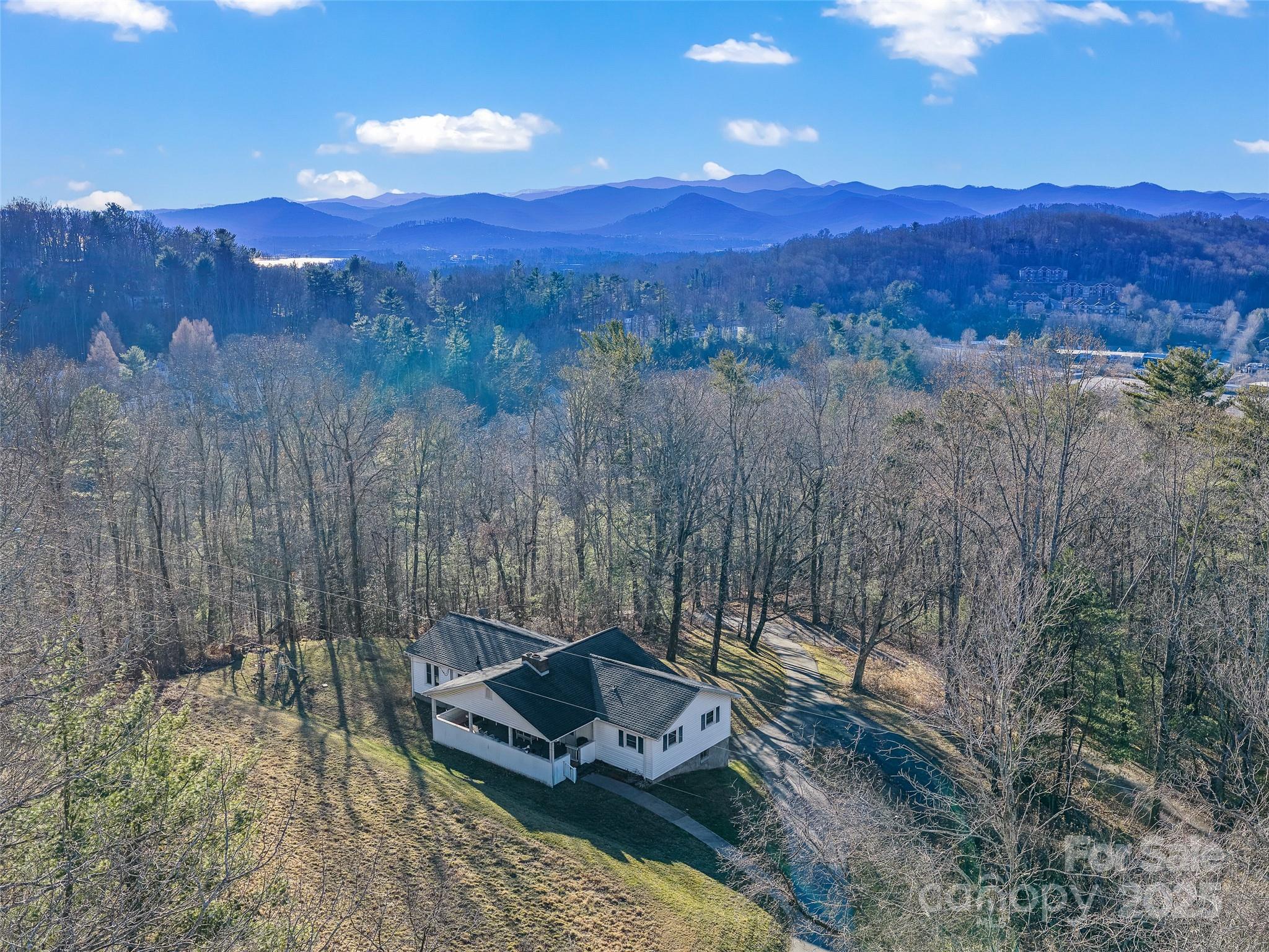 35 Smith Rdg Drive Asheville, NC 28803 - Photo 36 of 38 a view of a backyard with mountain view and mountain view