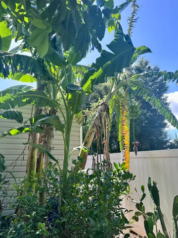 $220,000 | 108 East Hillside Drive, Seffner, FL 33584