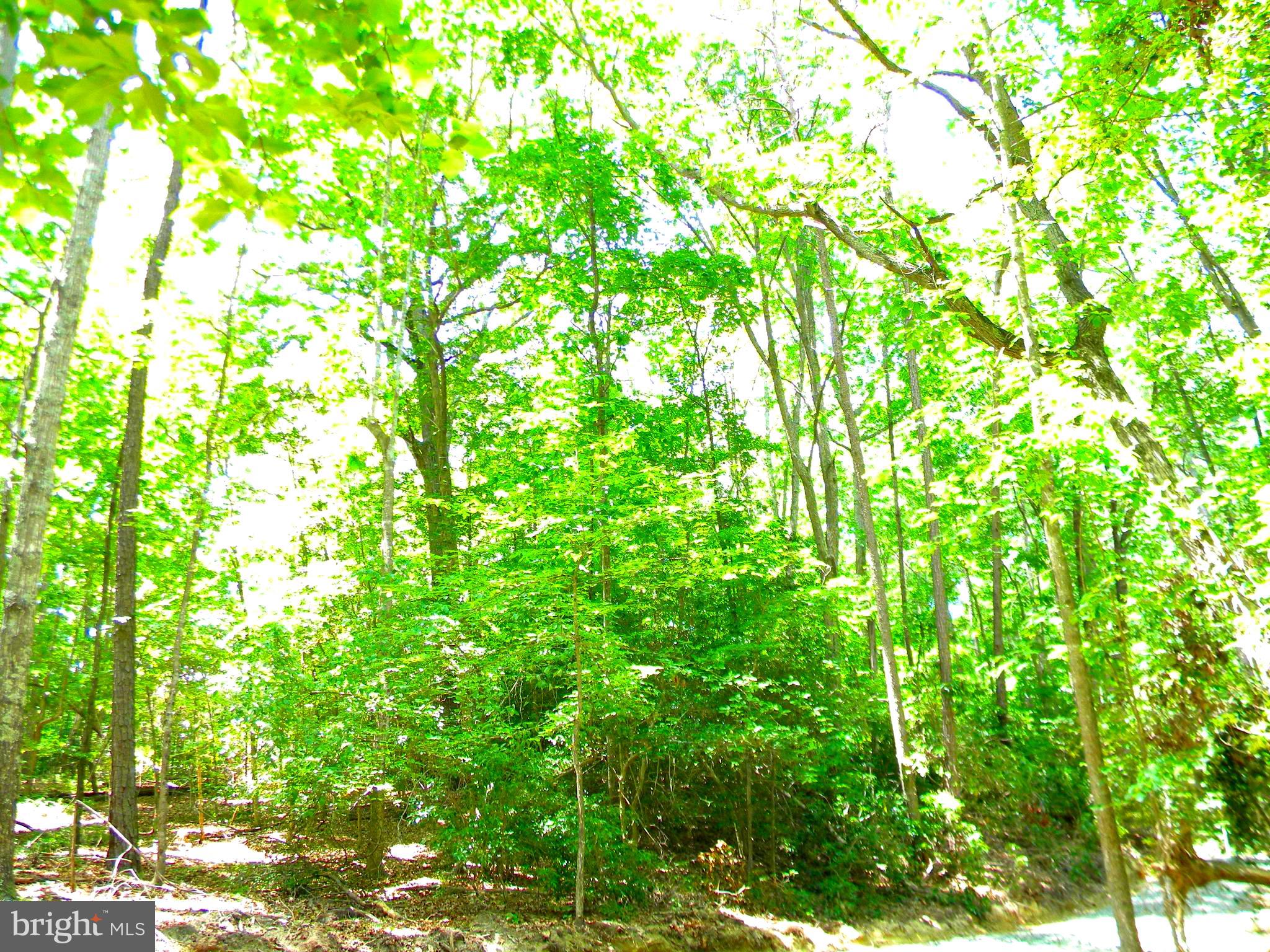 Lot 10 Thunder Road King George, VA 22485 - Photo 14 of 19 Gallery Image 14