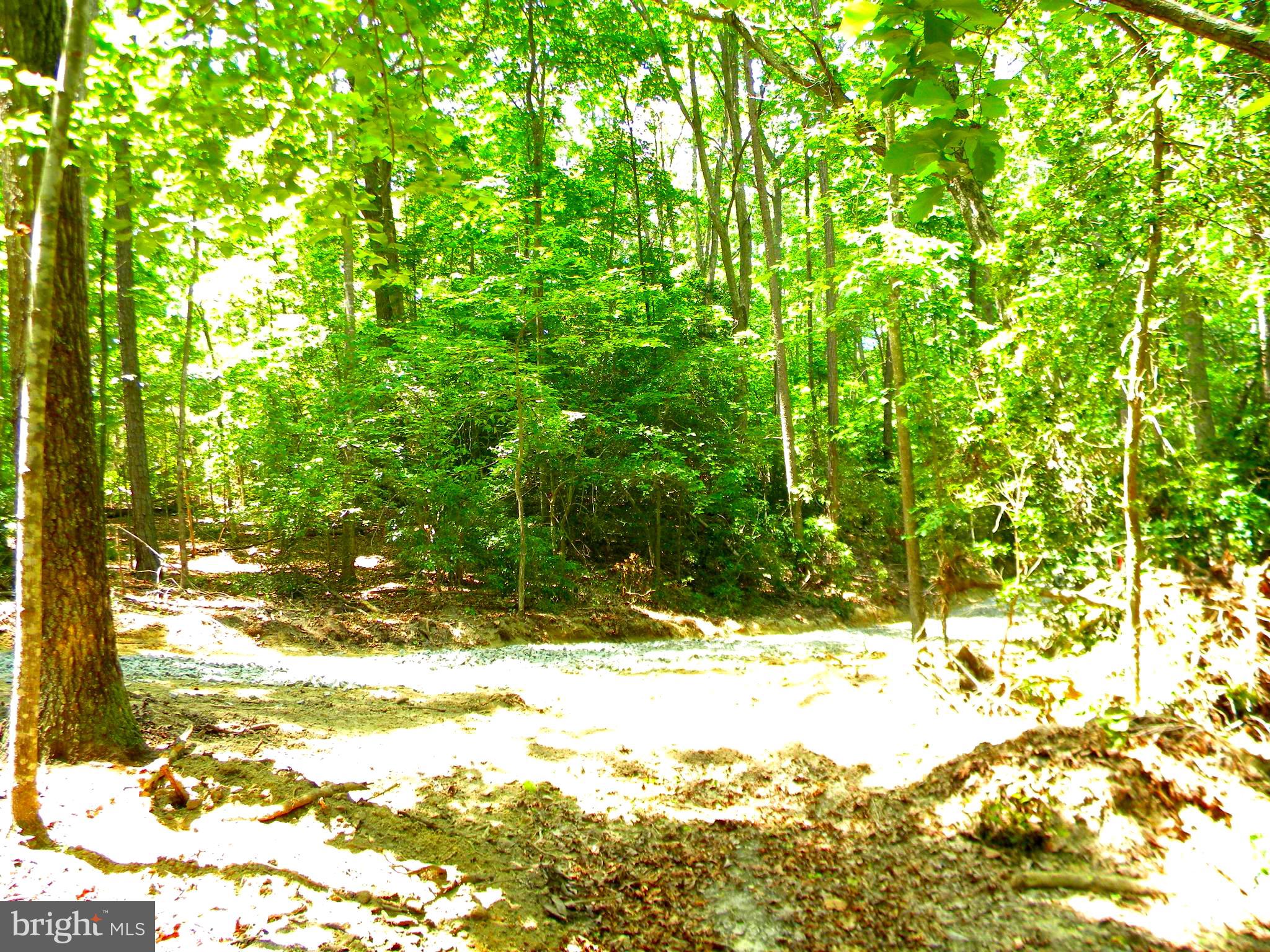 Lot 10 Thunder Road King George, VA 22485 - Photo 4 of 19 Gallery Image 4