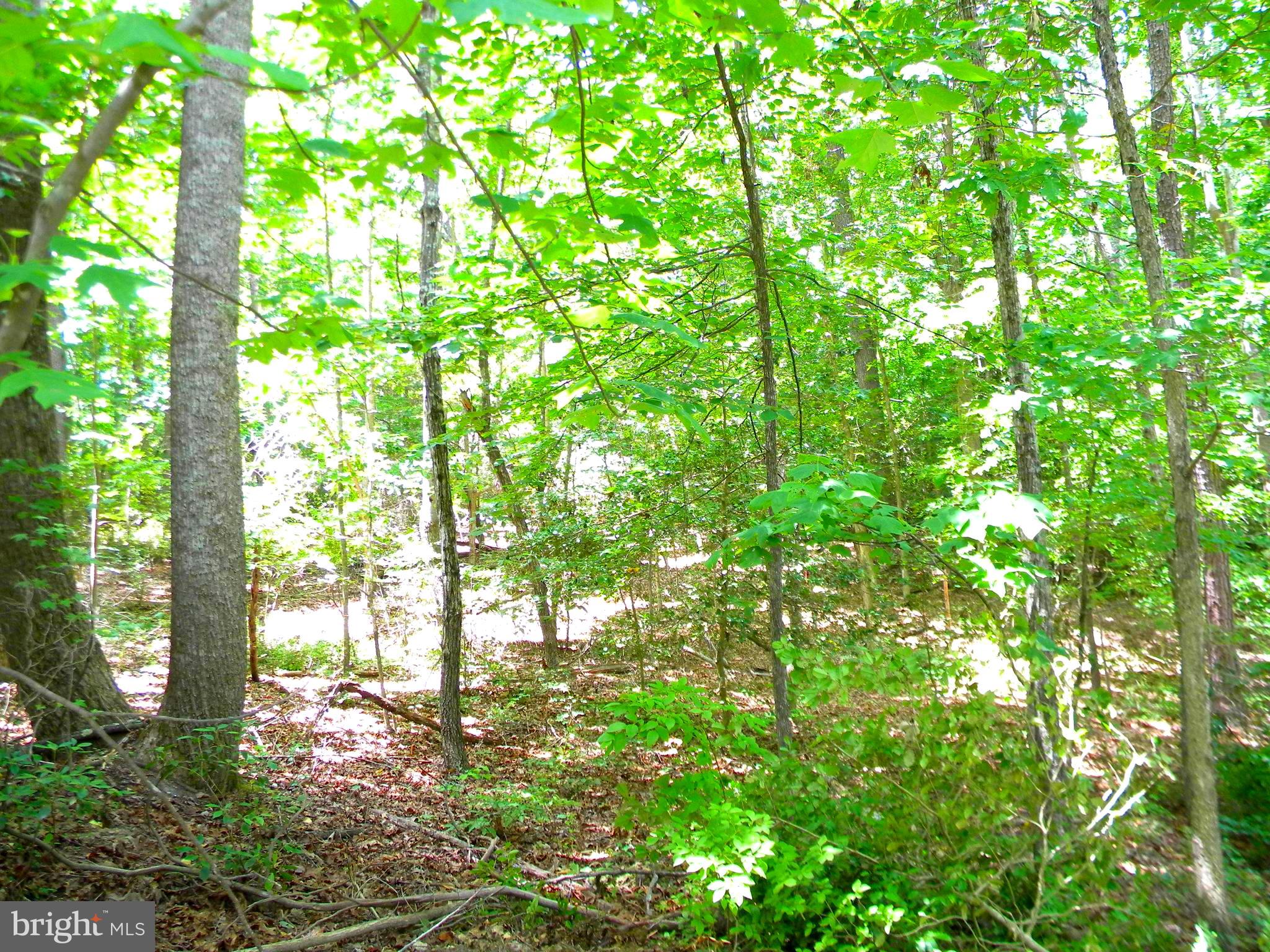 Lot 10 Thunder Road King George, VA 22485 - Photo 6 of 19 Gallery Image 6