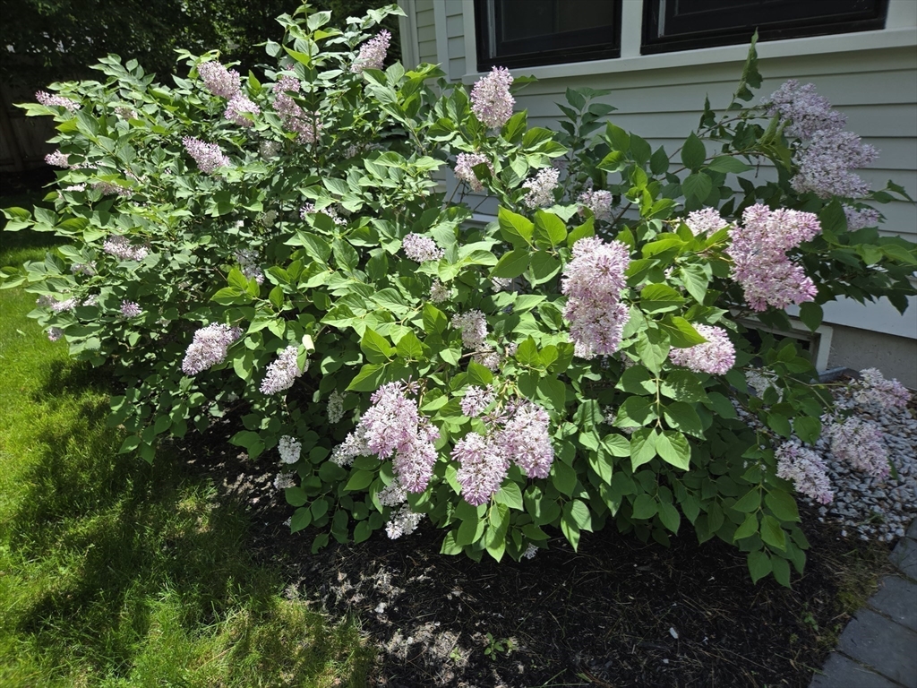 135 Williams Road Concord, MA 01742 - Photo 24 of 26