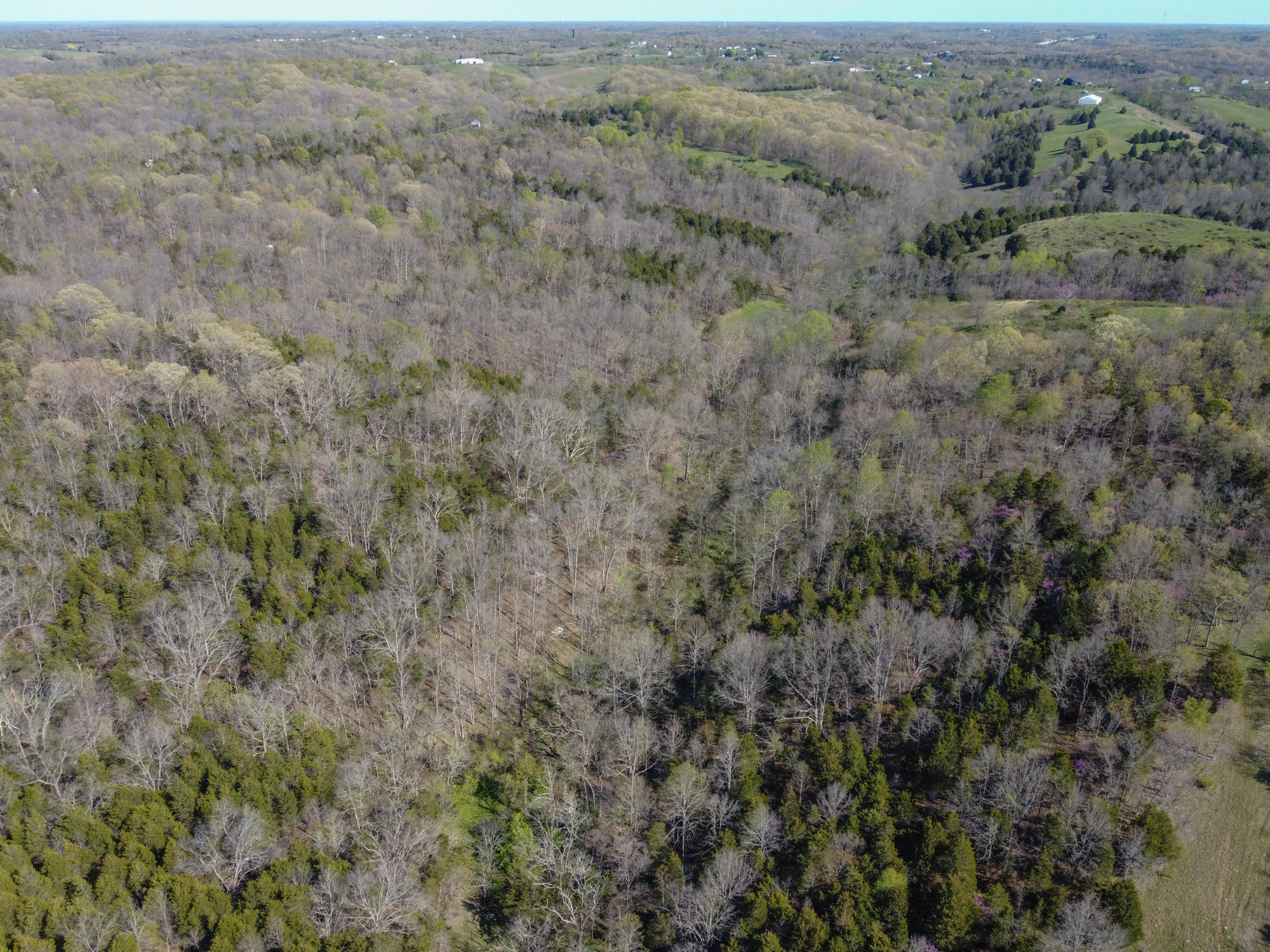 214-acres Keefer Road Corinth, KY 41010 - Photo 31 of 39 Keefer-34