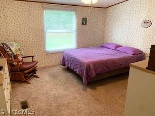322 Cedar Ridge Road Randleman, NC 27317 - Photo 8 of 25 Gallery Image 8