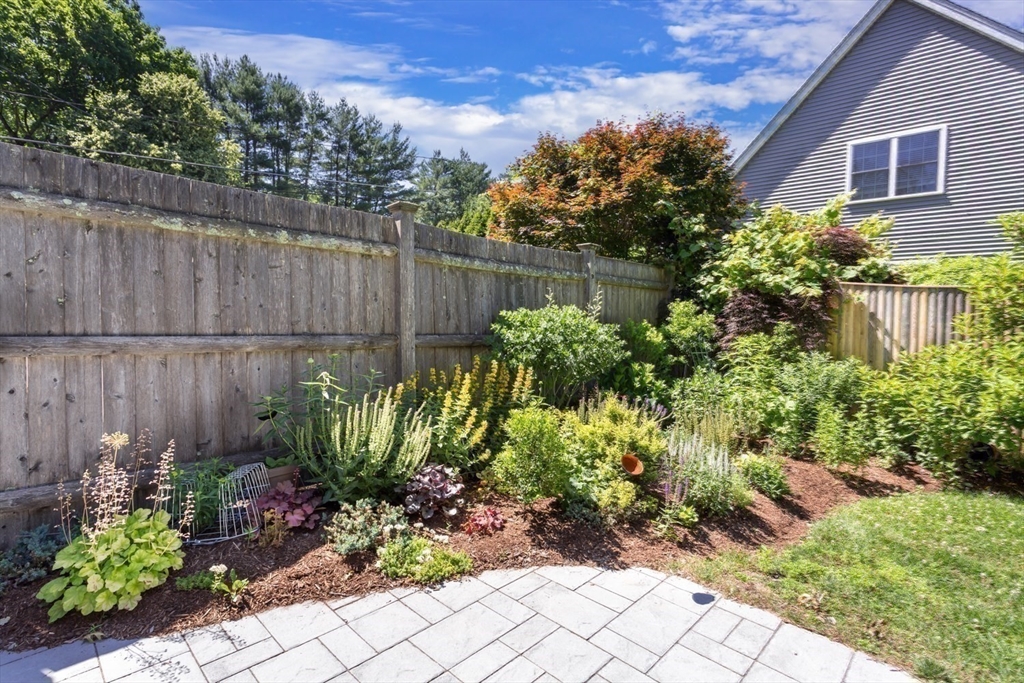 8 May Street Sharon, MA 02067 - Photo 33 of 39 a view of a garden with plants