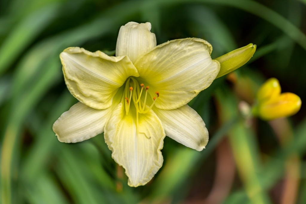 8 May Street Sharon, MA 02067 - Photo 37 of 39 a bathroom with a sink
