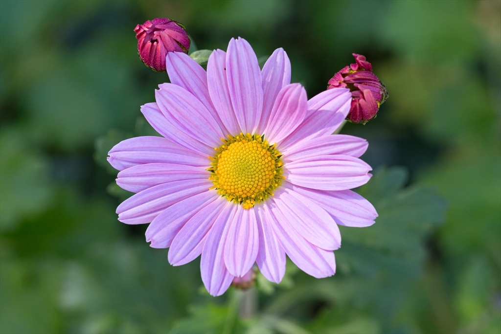 8 May Street Sharon, MA 02067 - Photo 38 of 39 a bathroom with a sink a mirror and a pink umbrella