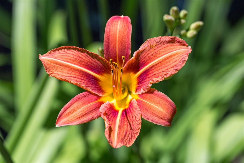 8 May Street Sharon, MA 02067 - Photo 39 of 39 a view of a flower pot