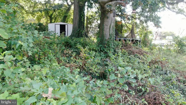 $51,240 | 0 62nd Avenue, Washington, DC 20019