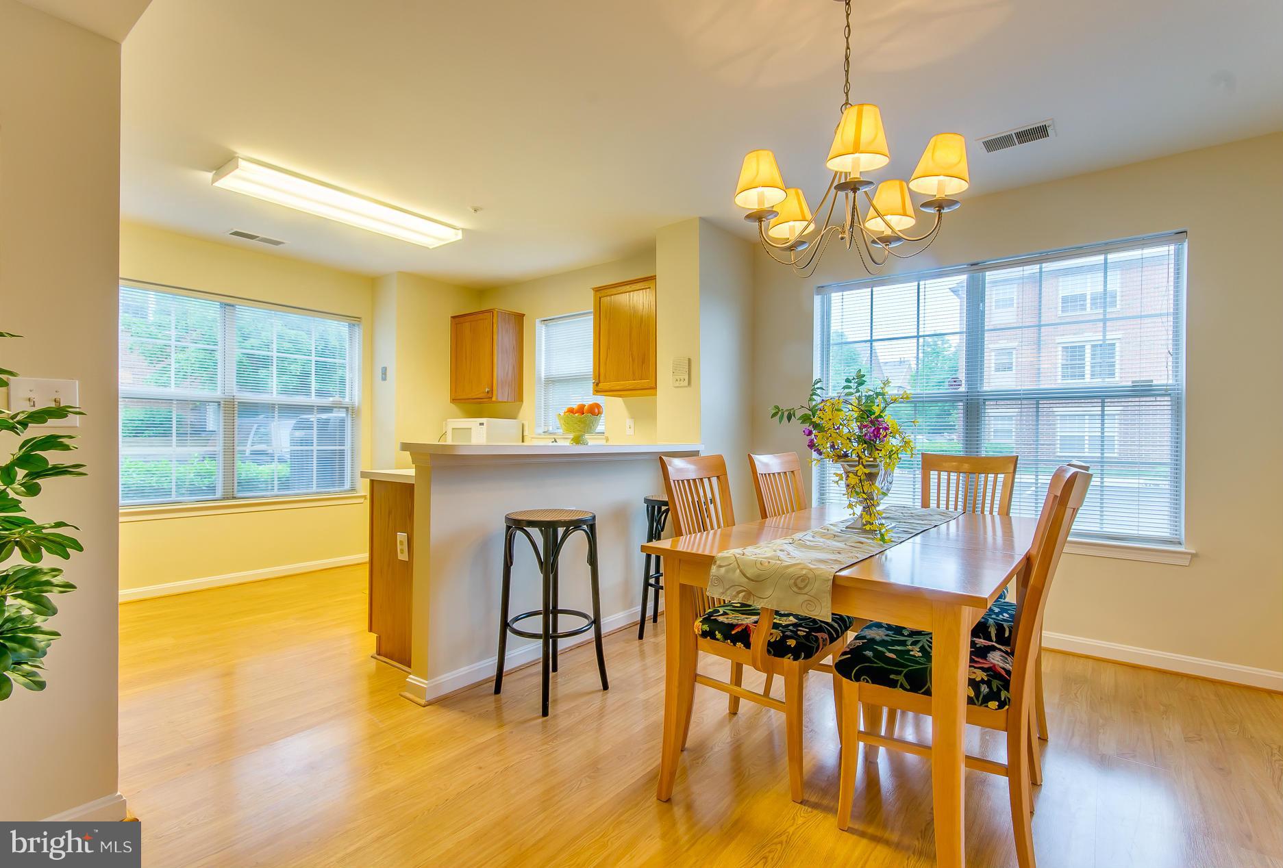 302 Ridgepoint Place, Unit 18 Gaithersburg, MD 20878 - Photo 5 of 21 Dining Room