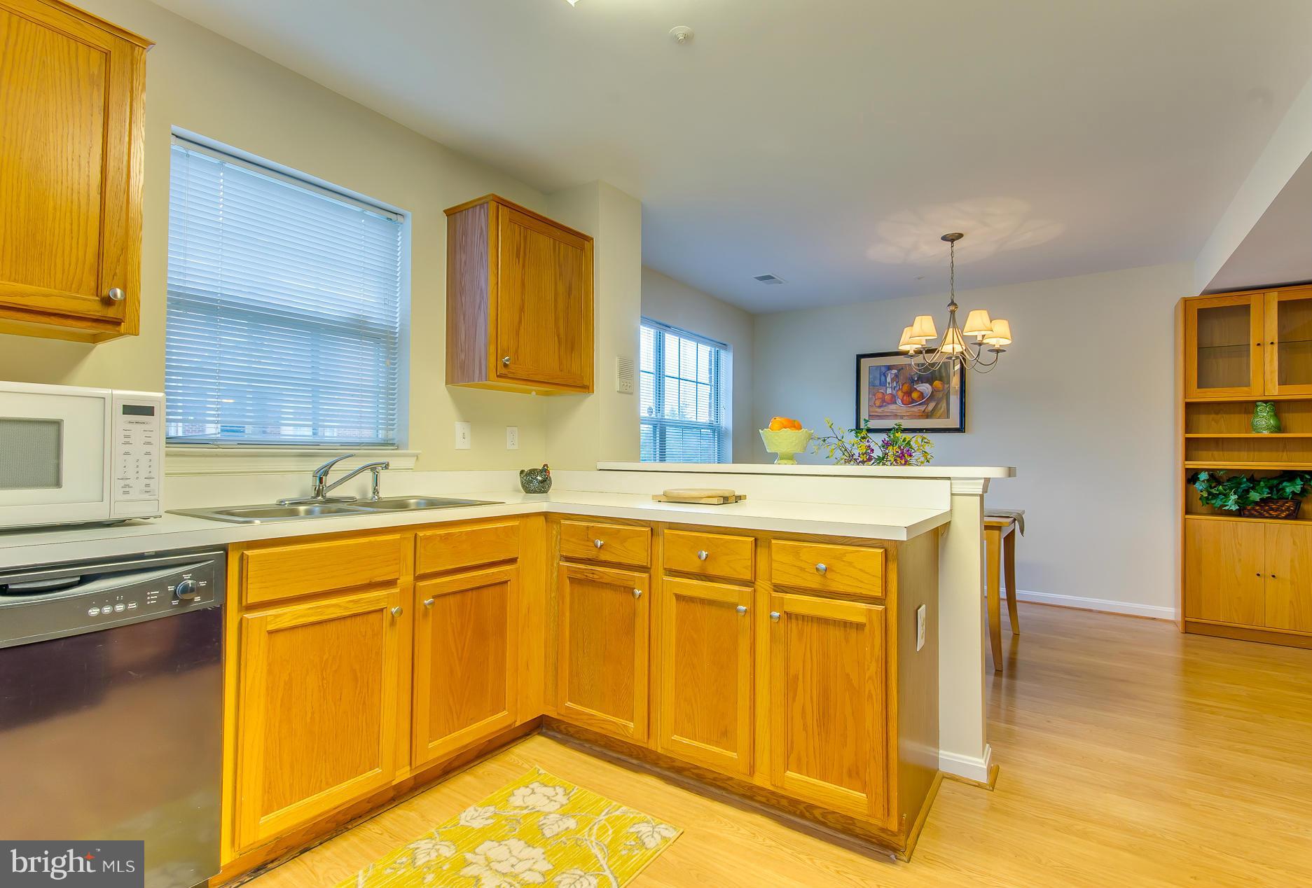 302 Ridgepoint Place, Unit 18 Gaithersburg, MD 20878 - Photo 8 of 21 Kitchen