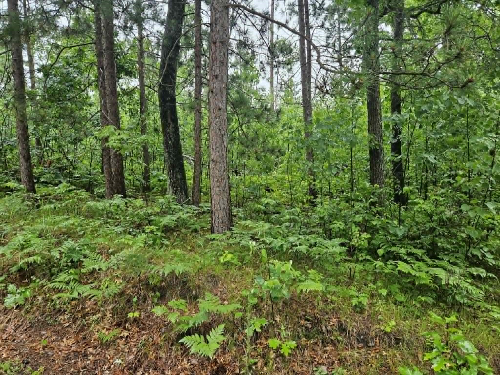 Lot 2 Hilly Lane Spooner, WI 54801 - Photo 4 of 4