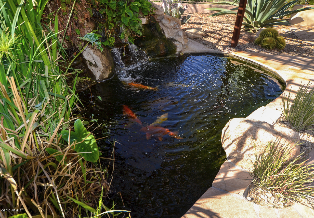 5058 East Sleepy Ranch Road Cave Creek, AZ 85331 - Photo 7 of 41 Koi