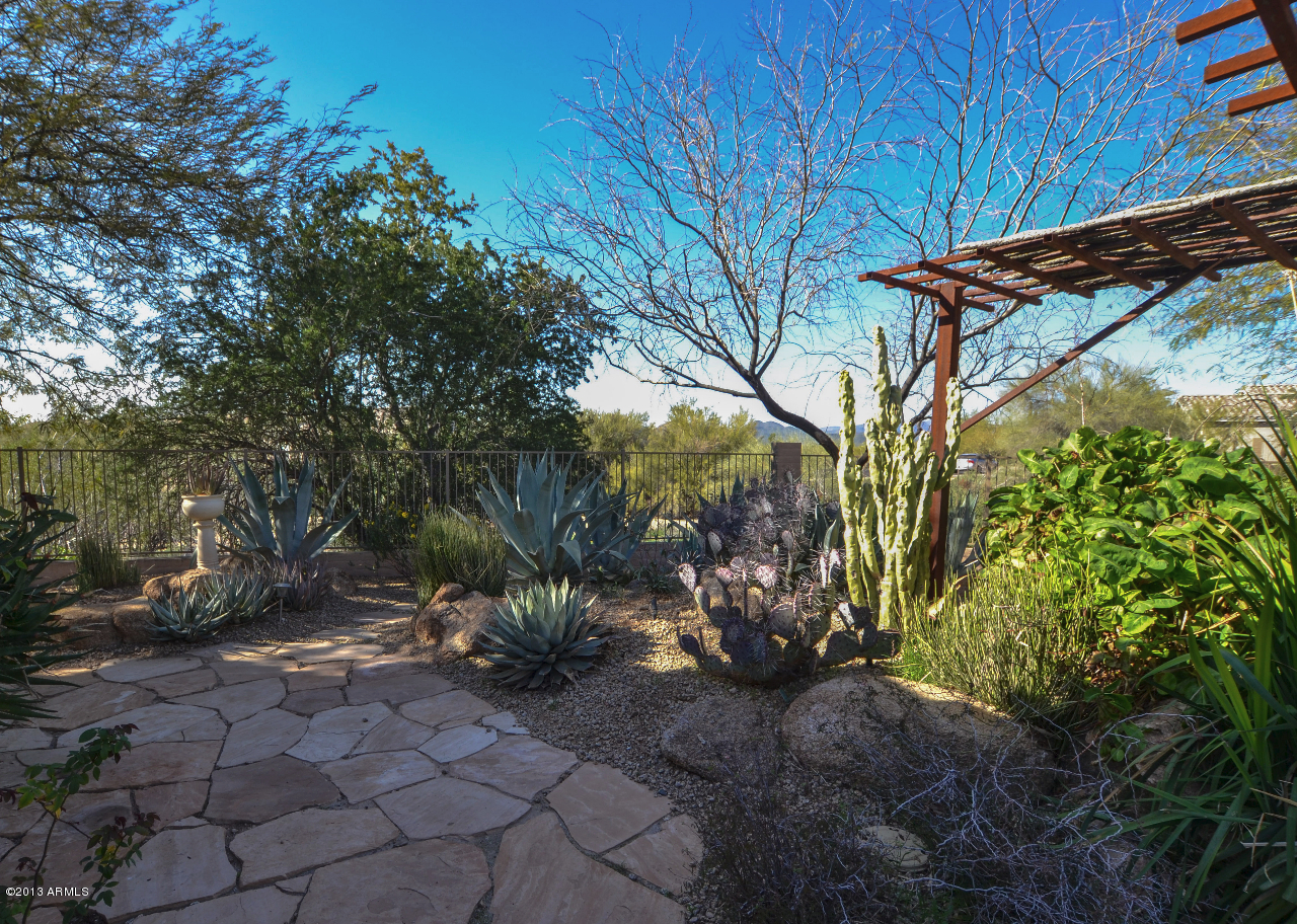 5058 East Sleepy Ranch Road Cave Creek, AZ 85331 - Photo 8 of 41 backyard2