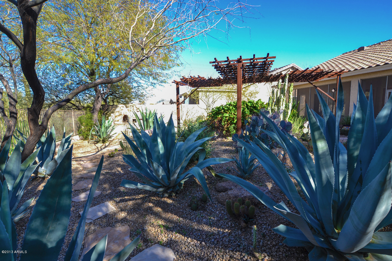 5058 East Sleepy Ranch Road Cave Creek, AZ 85331 - Photo 10 of 41 backyard4