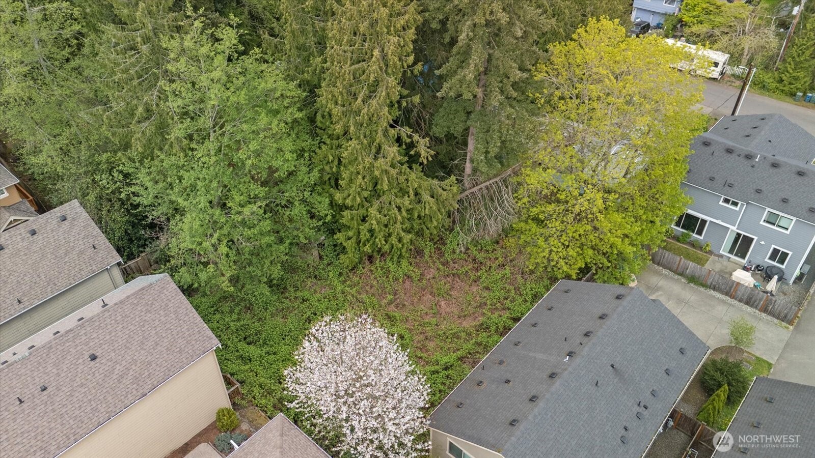 15316 50th Place West Edmonds, WA 98026 - Photo 4 of 12 view of a yard