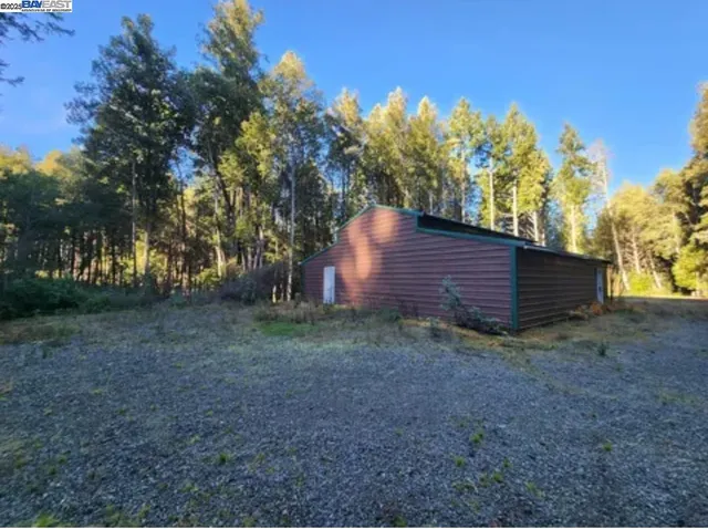 a view of a backyard with large trees