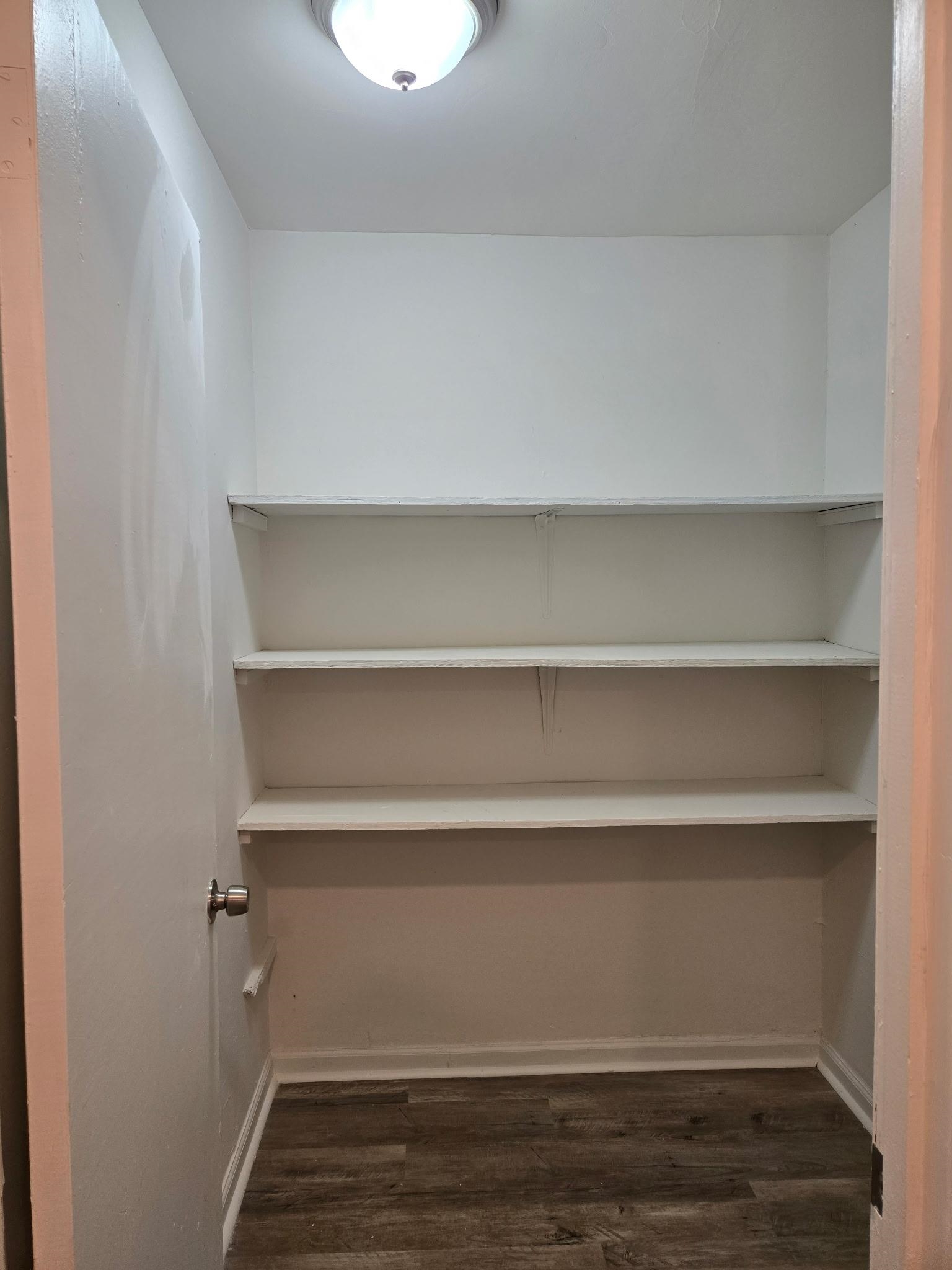 2889 Randy Cove Memphis, TN 38118 - Photo 10 of 18 White-painted interior closet featuring three built-in shelves, wood-finish flooring, and a flush-mount ceiling light fixture