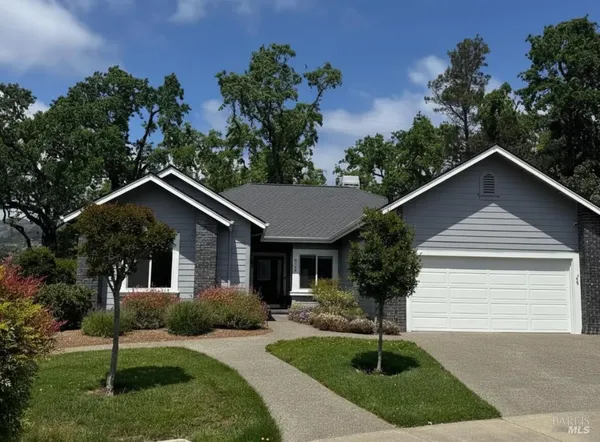 a front view of a house with yard and green space