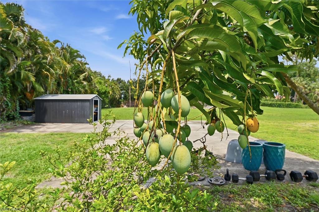 721 Logan Boulevard South Naples, FL 34119 - Photo 34 of 46