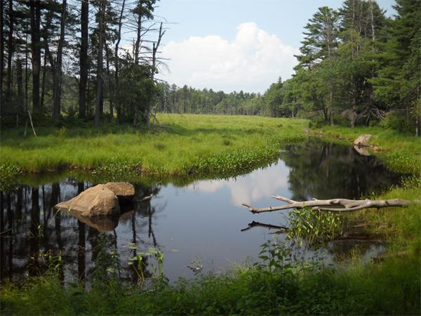 180 Popple Camp Road Petersham, MA 01366 - Photo 1 of 30 a lake view with a yard and lake view