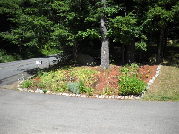 180 Popple Camp Road Petersham, MA 01366 - Photo 23 of 30 front view of a house with a yard