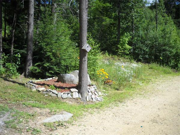 180 Popple Camp Road Petersham, MA 01366 - Photo 27 of 30 a view of a garden with a tree