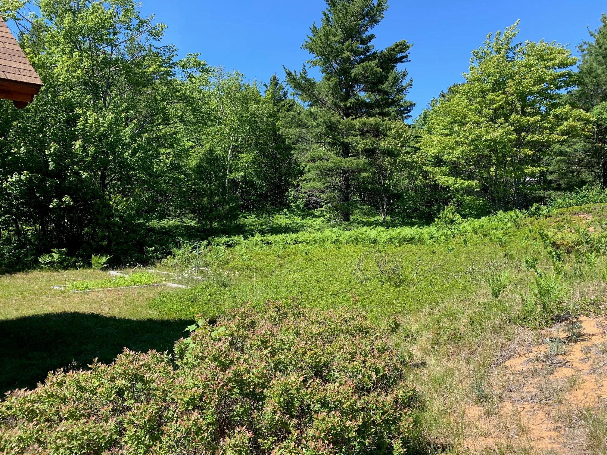 14996 North Whitefish Point Road Paradise, MI 49768 - Photo 56 of 62 Gallery Image 56