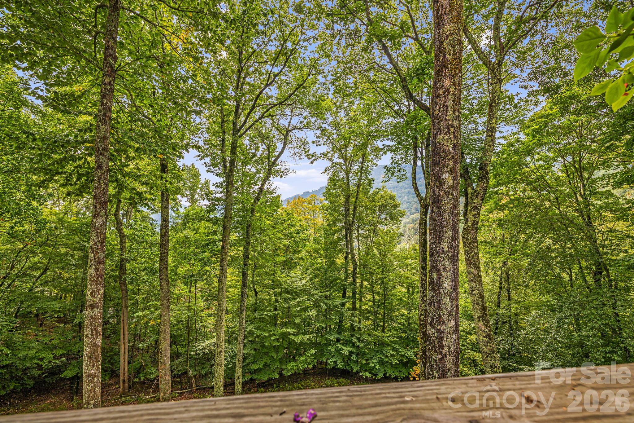 215 Goldenleaf Road Mars Hill, NC 28754 - Photo 37 of 47 a view of outdoor space and yard