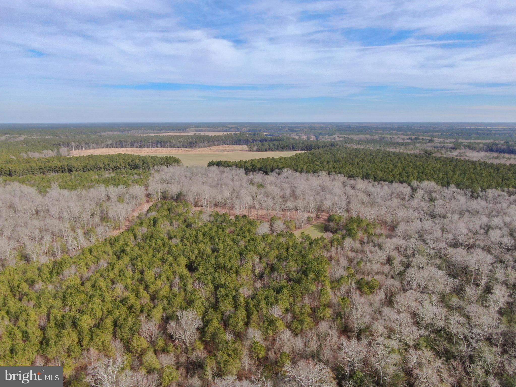 0 Fleming Mill Road Pocomoke City, MD 21851 - Photo 11 of 14