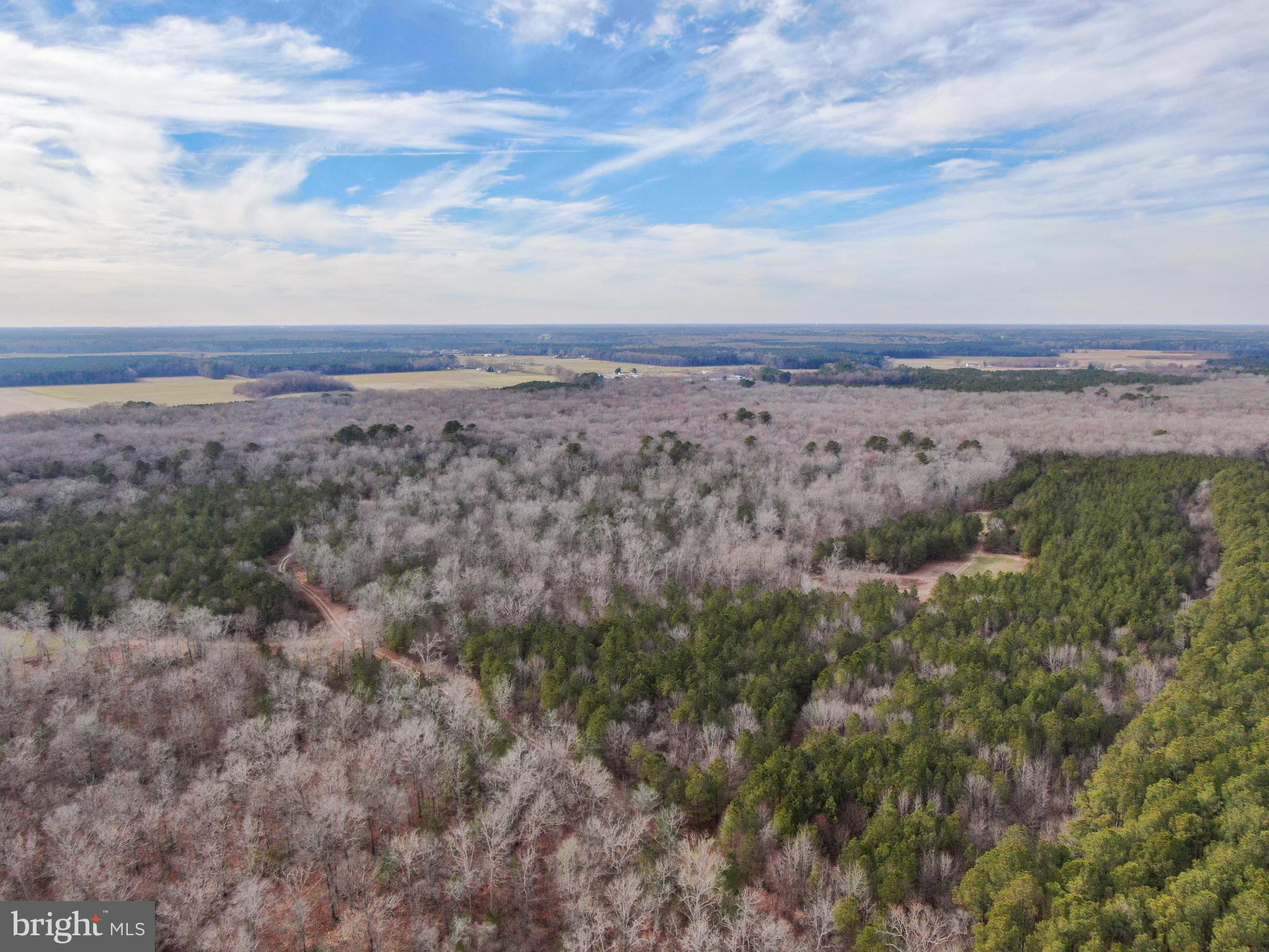 0 Fleming Mill Road Pocomoke City, MD 21851 - Photo 12 of 14