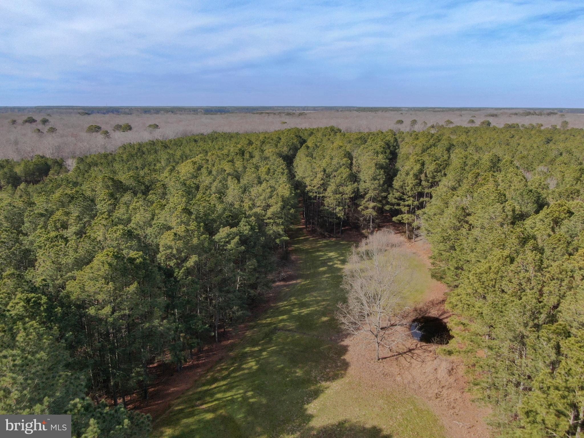 0 Fleming Mill Road Pocomoke City, MD 21851 - Photo 2 of 14