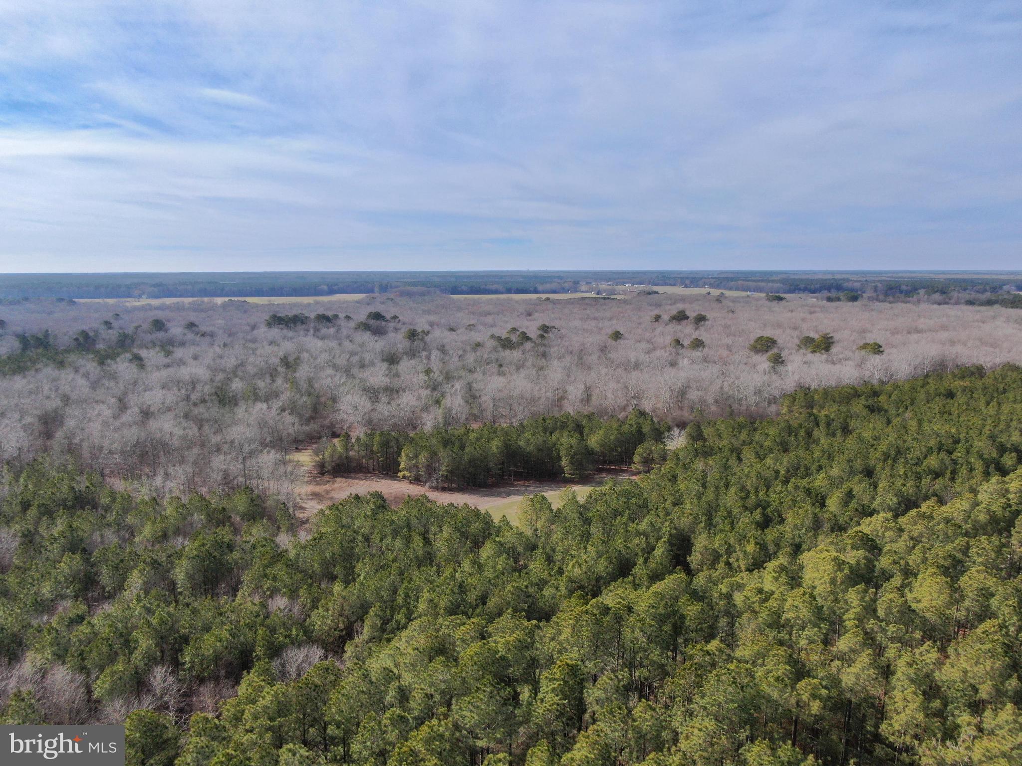 0 Fleming Mill Road Pocomoke City, MD 21851 - Photo 3 of 14