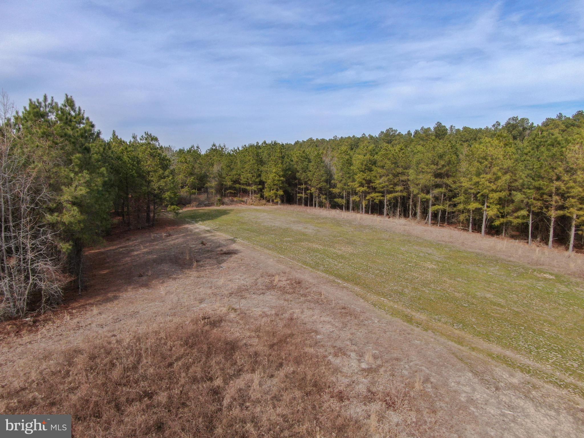 0 Fleming Mill Road Pocomoke City, MD 21851 - Photo 4 of 14