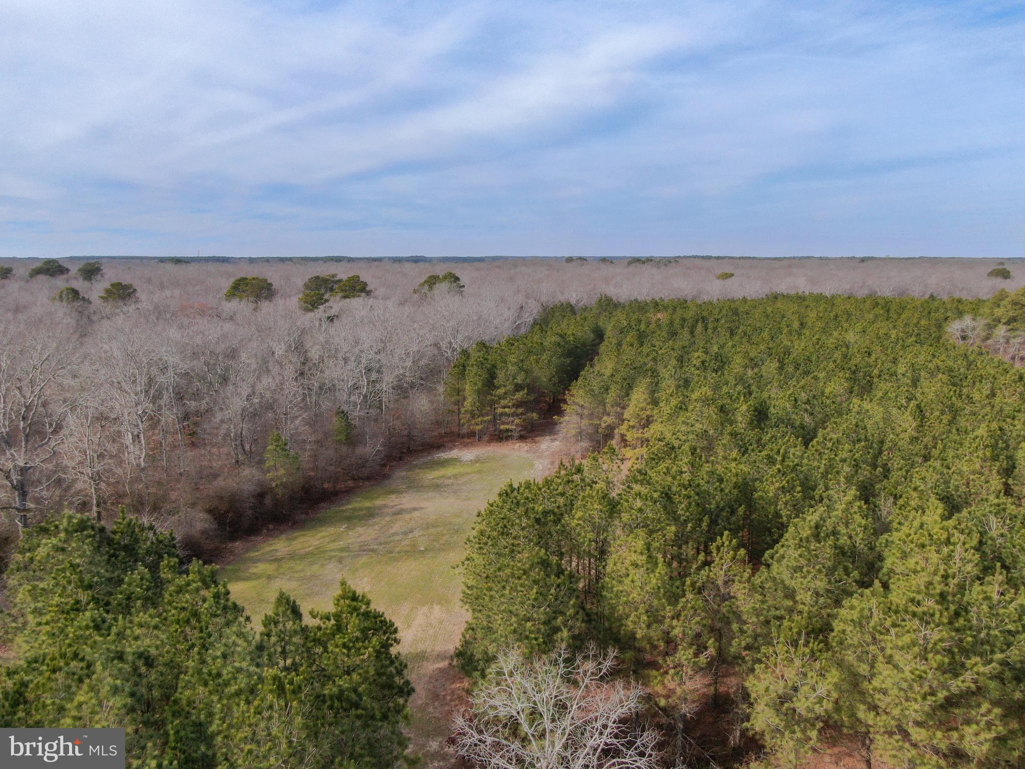 0 Fleming Mill Road Pocomoke City, MD 21851 - Photo 5 of 14