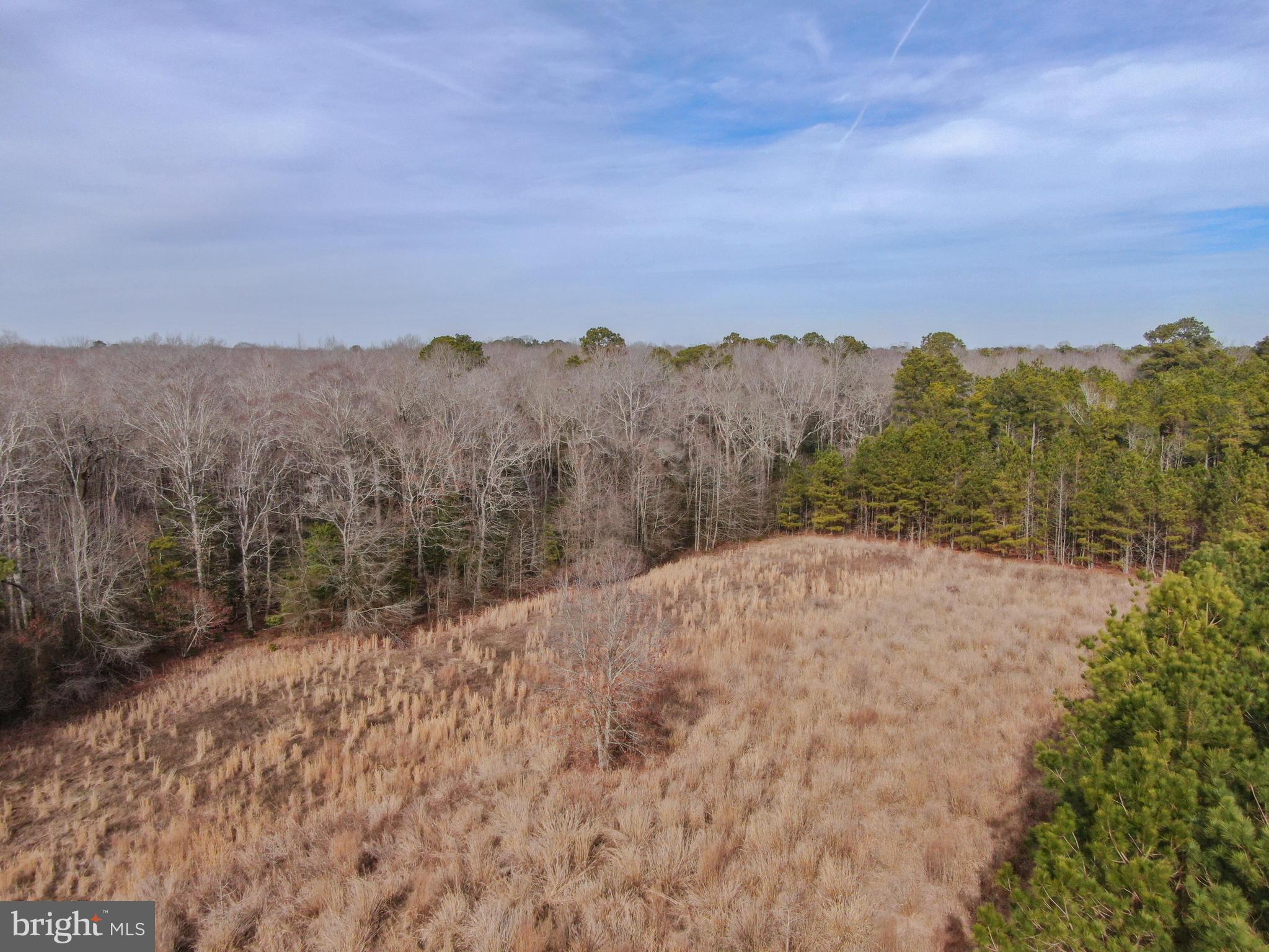 0 Fleming Mill Road Pocomoke City, MD 21851 - Photo 6 of 14