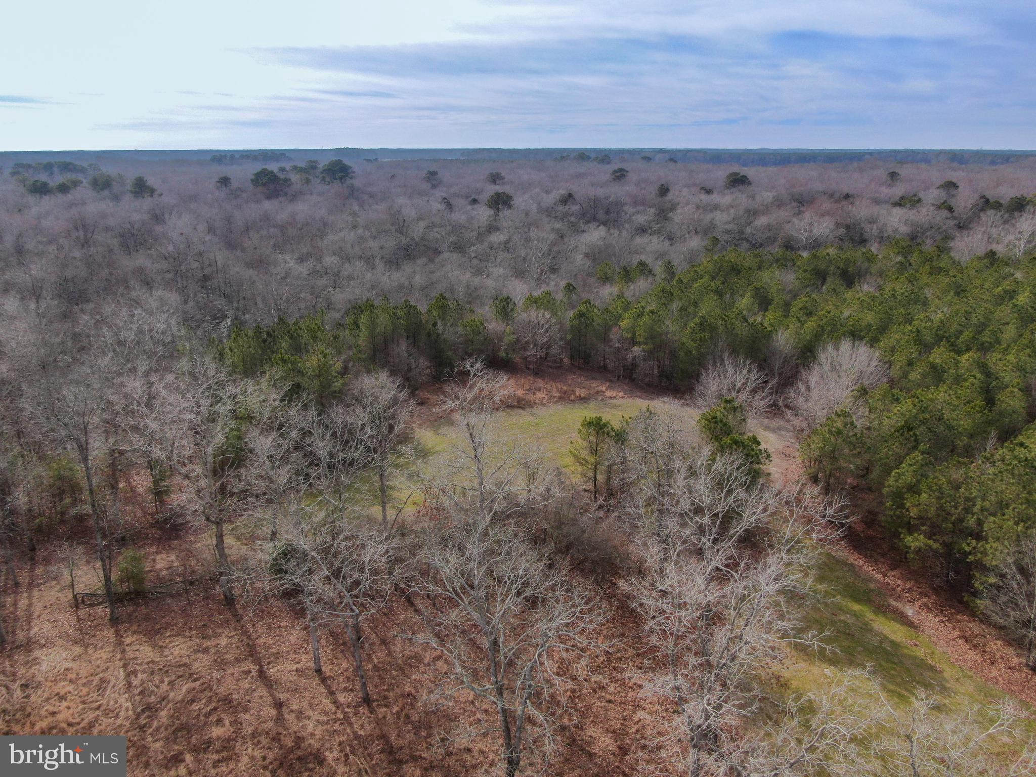 0 Fleming Mill Road Pocomoke City, MD 21851 - Photo 7 of 14