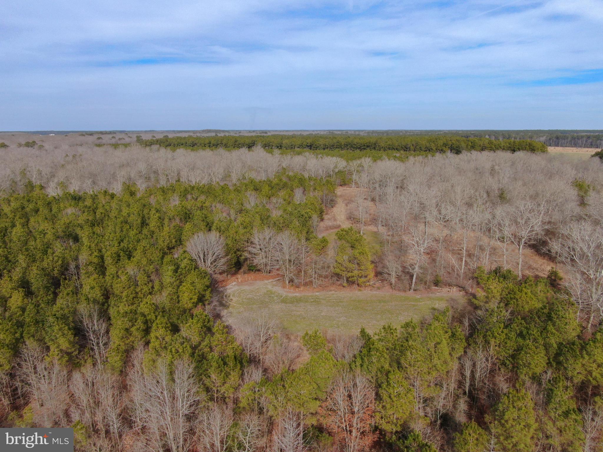 0 Fleming Mill Road Pocomoke City, MD 21851 - Photo 8 of 14