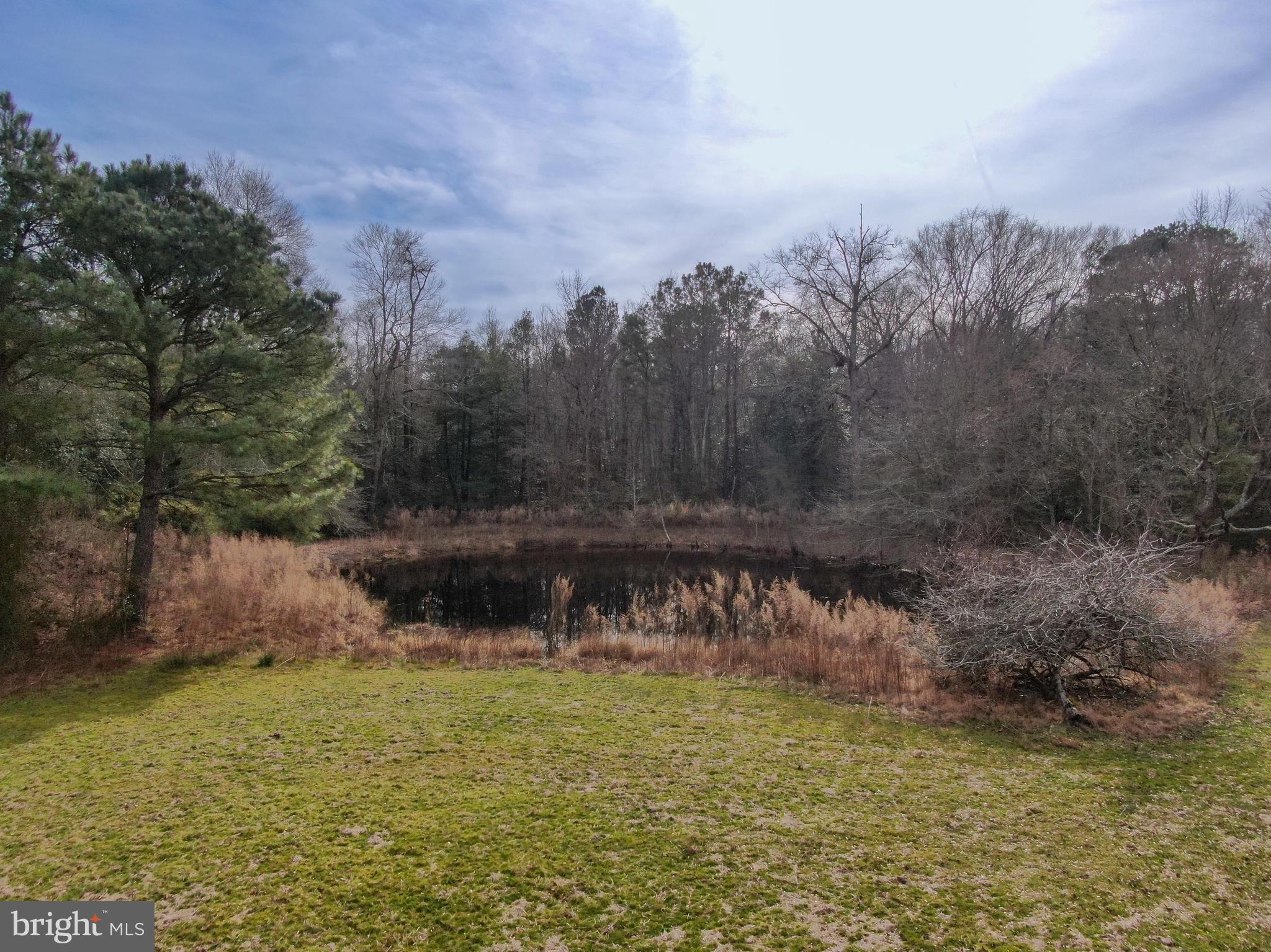 0 Fleming Mill Road Pocomoke City, MD 21851 - Photo 9 of 14