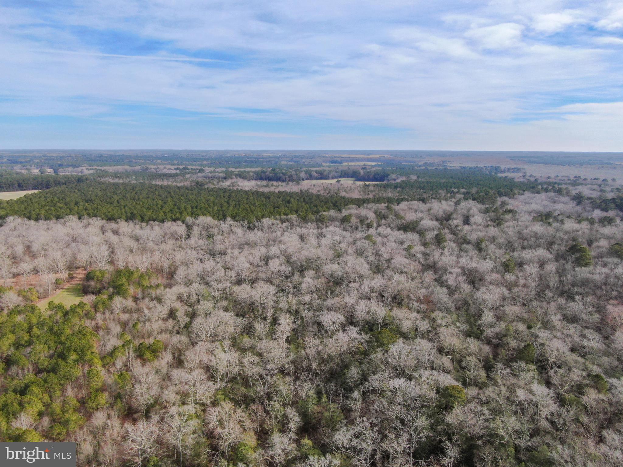 0 Fleming Mill Road Pocomoke City, MD 21851 - Photo 10 of 14