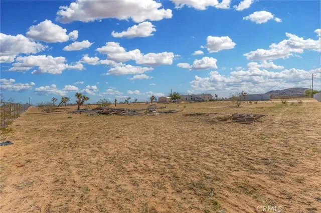 a view of a dry yard
