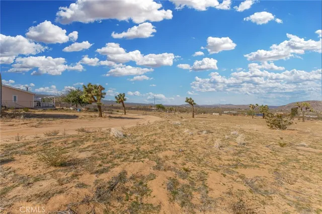 view of a white bed in a field