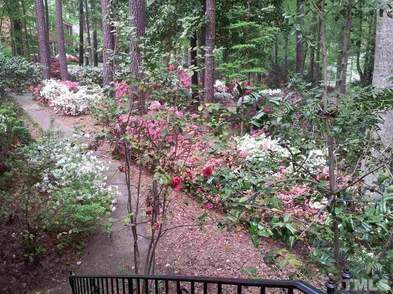 5311 Alpine Drive Raleigh, NC 27609 - Photo 24 of 25 a view of a garden with flowers