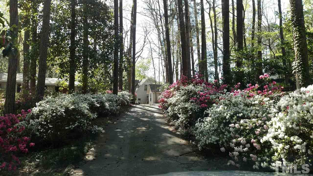 5311 Alpine Drive Raleigh, NC 27609 - Photo 25 of 25 a view of a garden with flowers