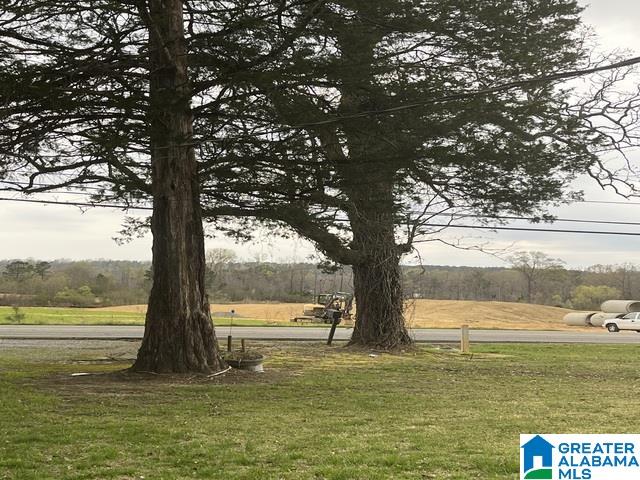 6612 Pocahontas Road Bessemer, AL 35022 - Photo 5 of 5